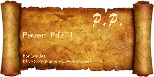Pauer Pál névjegykártya